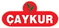 Çaykur