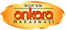 Nuh'un Ankara