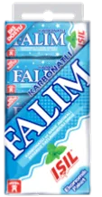 Chewing gum mint bicarbonate